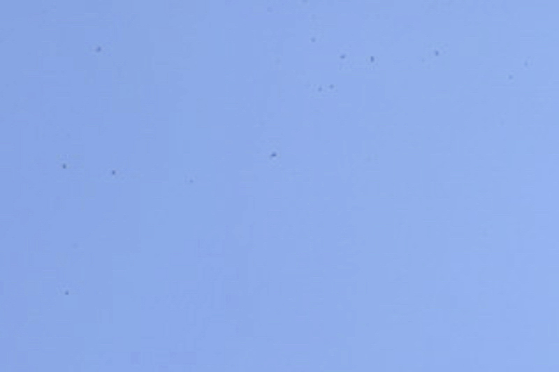 dsc_0365.jpg