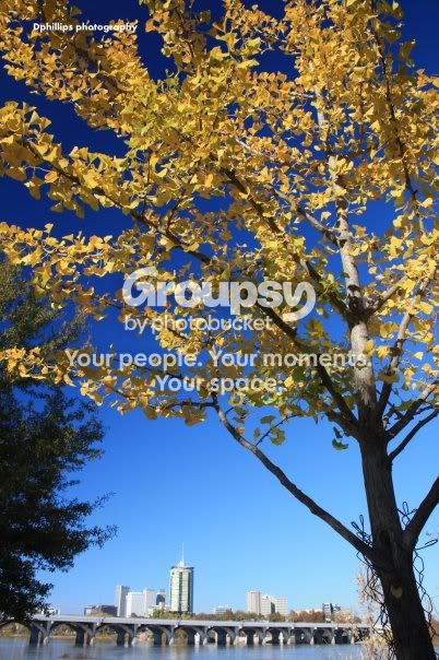 dphillipsphotography.jpg