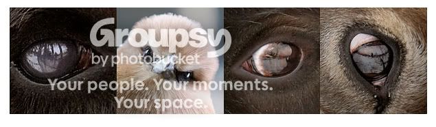 flickr_selfportrait.jpg