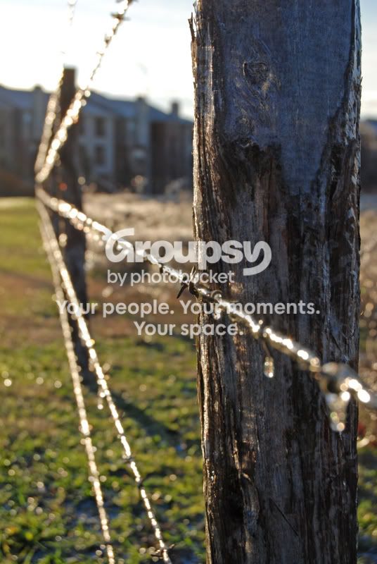IceonBarbedWire3.jpg
