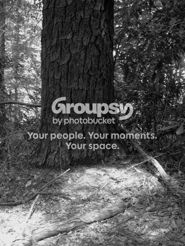 Pics016.jpg