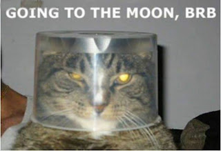 cat+in+a+hat.jpg
