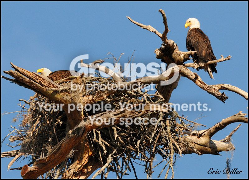 PIC_0316.jpg