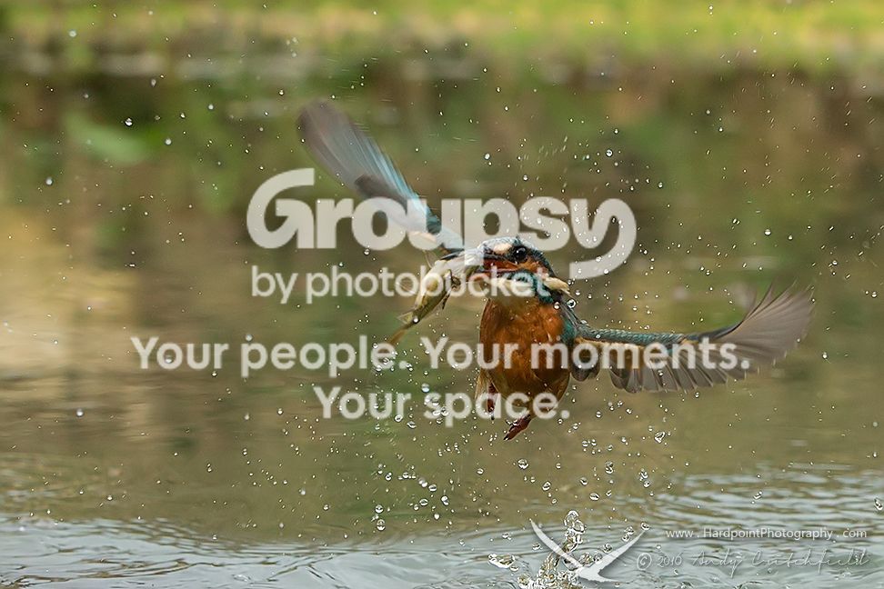 _HPP9692_zpsllqcomst.jpg