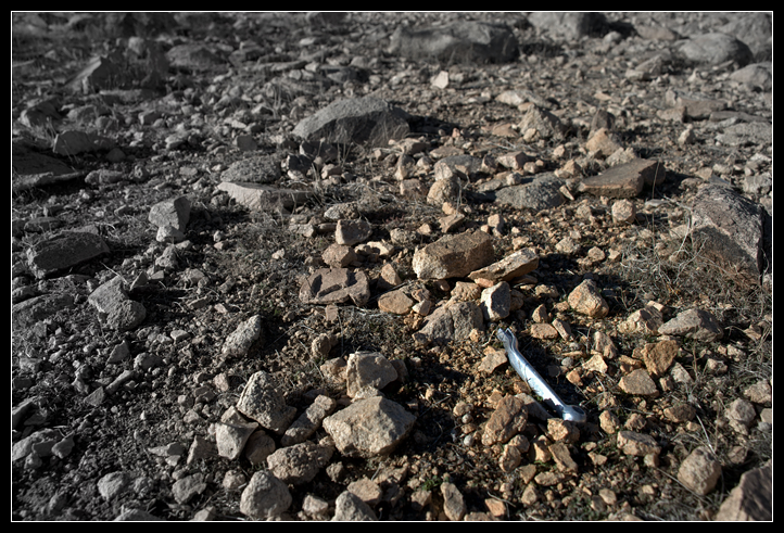 DSC_0150ppweb.png