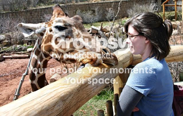 girafewife.jpg
