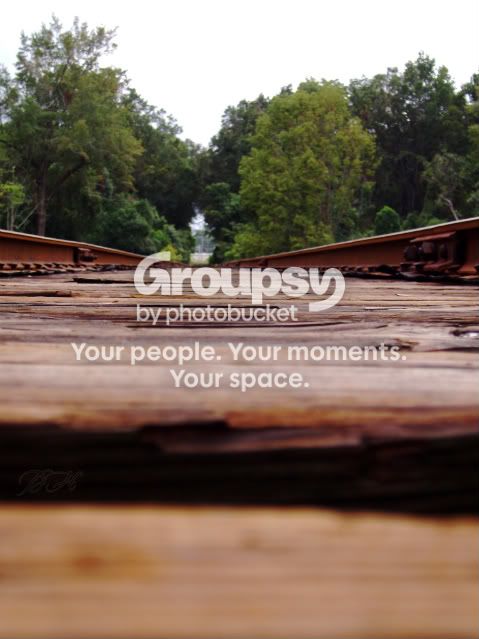 tracks2.jpg