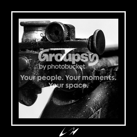 bordergun5.jpg
