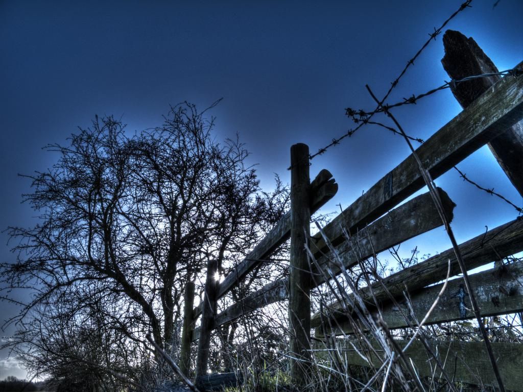 fence1a_zps44a9f544.jpg