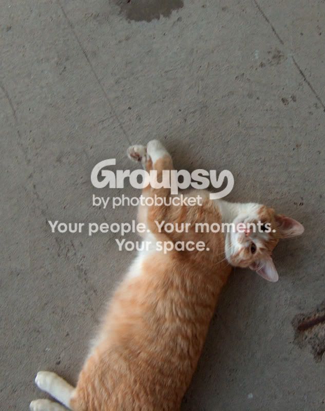 IMG_024c.jpg