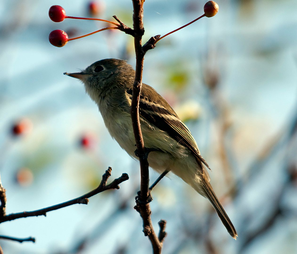 DSC_8227.jpg