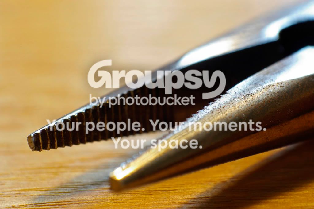 _IGP45332.jpg