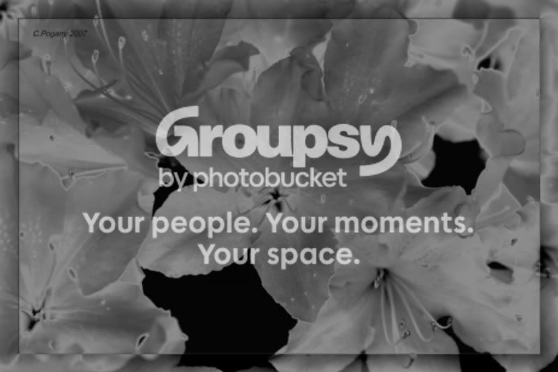 azaleasolar.jpg