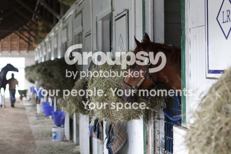 IMG_1457.jpg