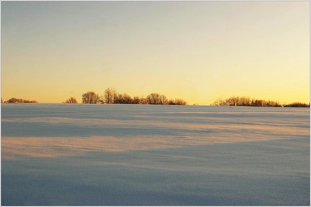 Sunlight_ower_the_field_by_ShadowPhotography.jpg