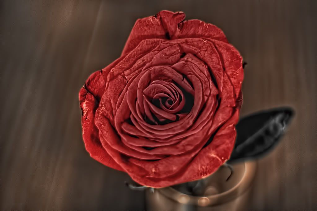 MothersDayRose.jpg