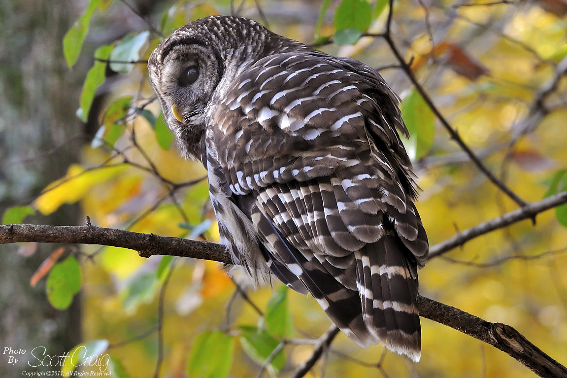 2011-10-30-08.jpg