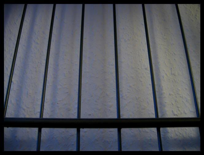 Regal-Linien.jpg