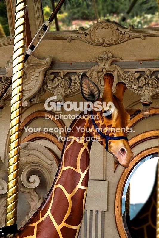 go-around_111.jpg