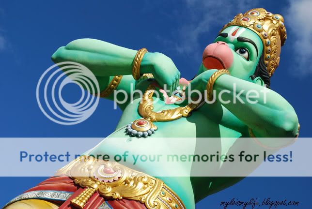 THAIPUSAM17_0399.jpg