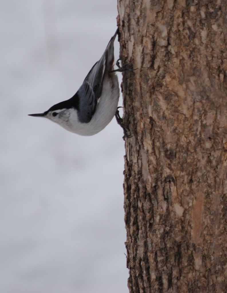 20110127_0176_edited-1.jpg