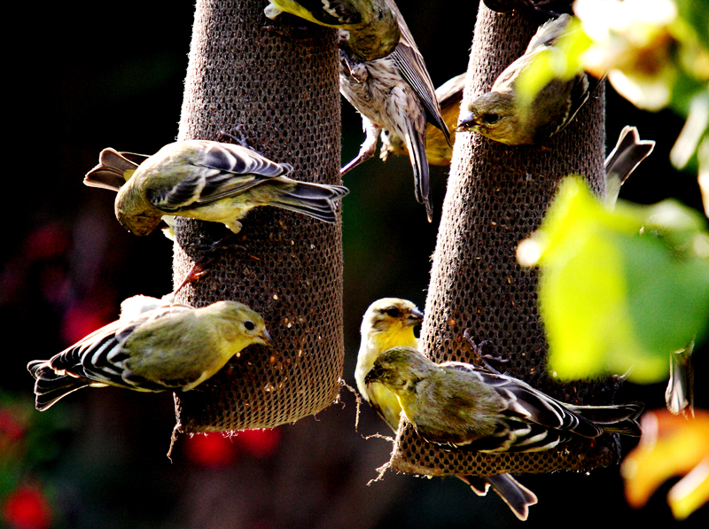 DPP_0045-L.jpg