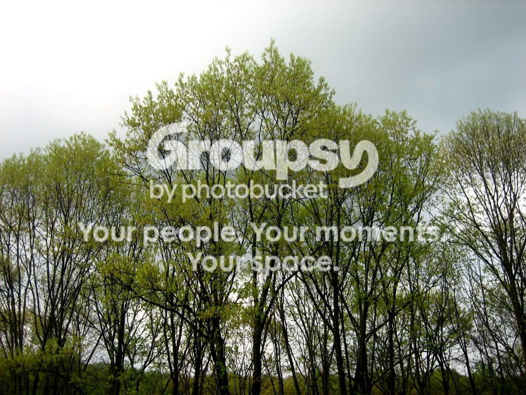 IMG_7095.jpg