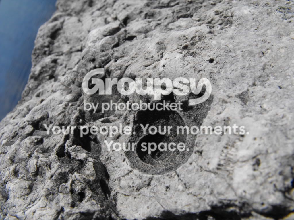 june122009457197.jpg