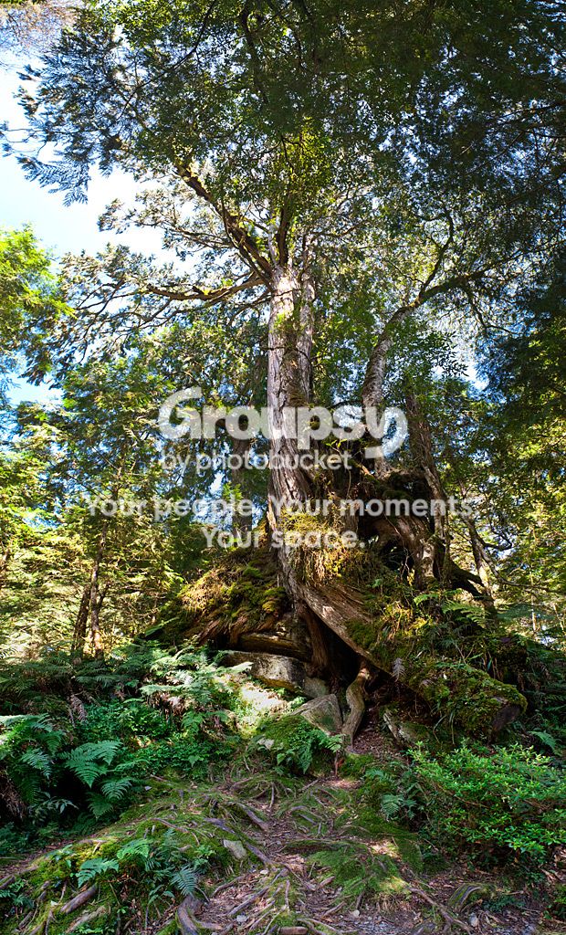Pano04.jpg