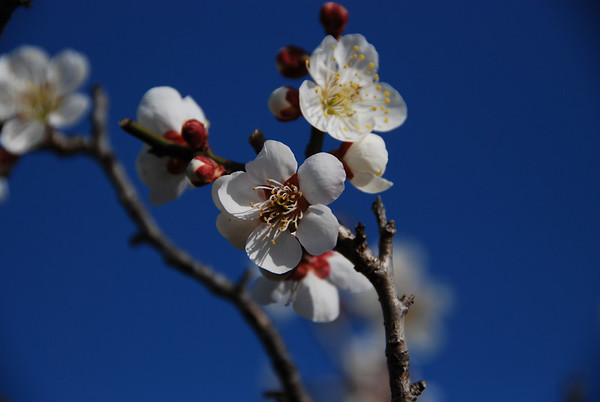268672031_ADnZ5-M.jpg