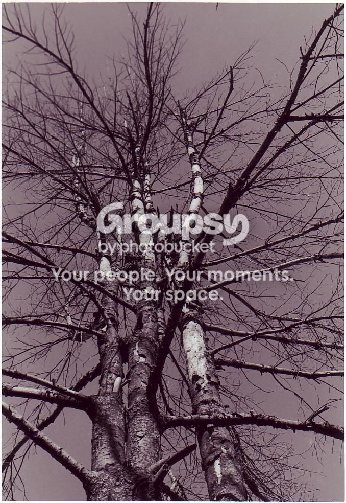 Scan10019.jpg