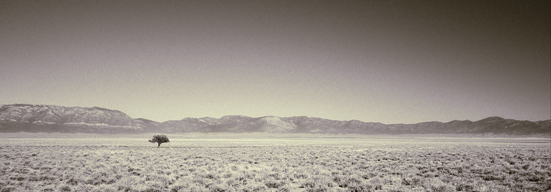 7417355830_46561a5a7b_c.jpg