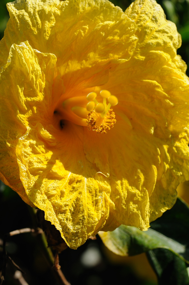 DSC_0031-X3.jpg