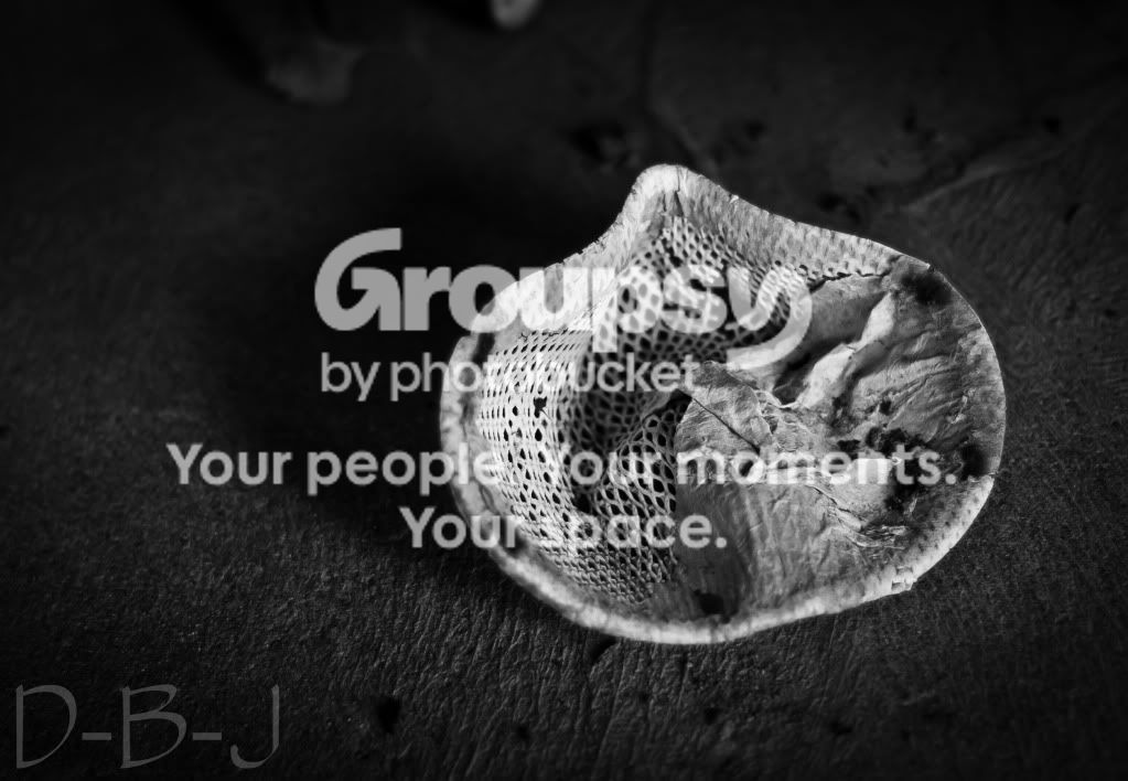 portfolio7-4.jpg