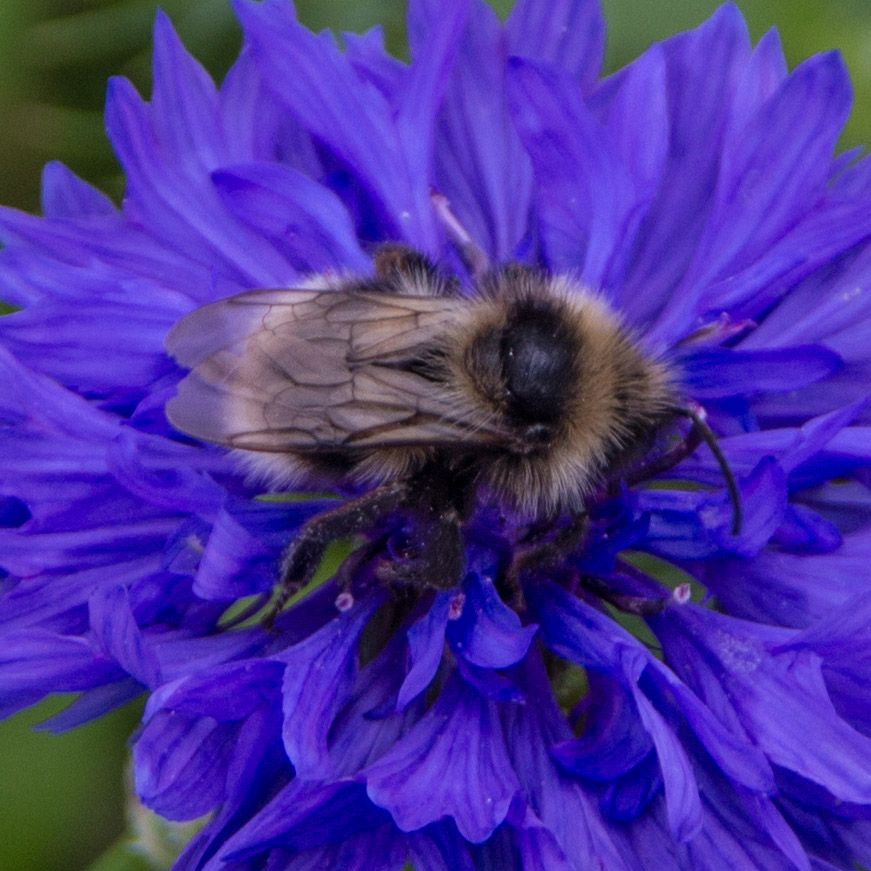 20120627-_MG_3876.jpg