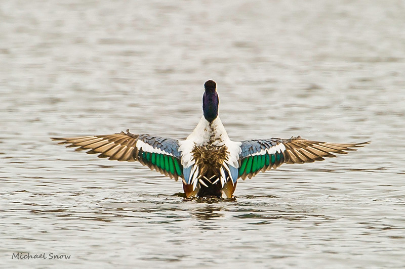 MSP_9092-L.jpg