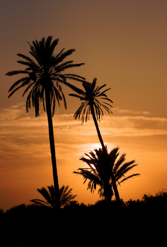 sunset_01.jpg
