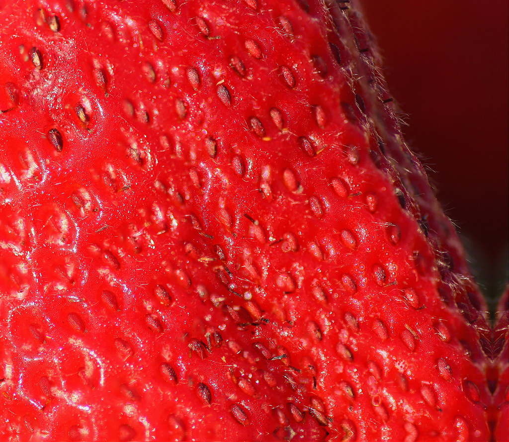 4664830486_2f128e3f0b_b.jpg