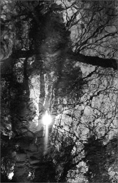 scan458-L.jpg