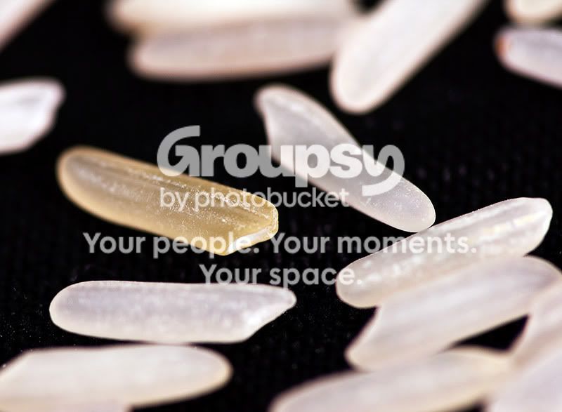 rice1.jpg