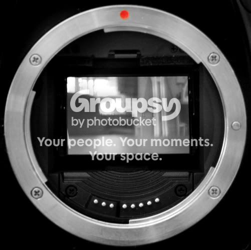 camera1575.jpg