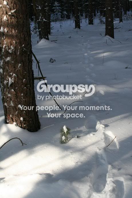 Snow8.jpg