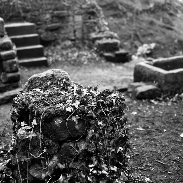 0645-L.jpg