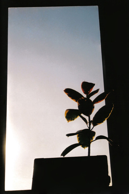 6359685773_1dde8b9d6b_z.jpg