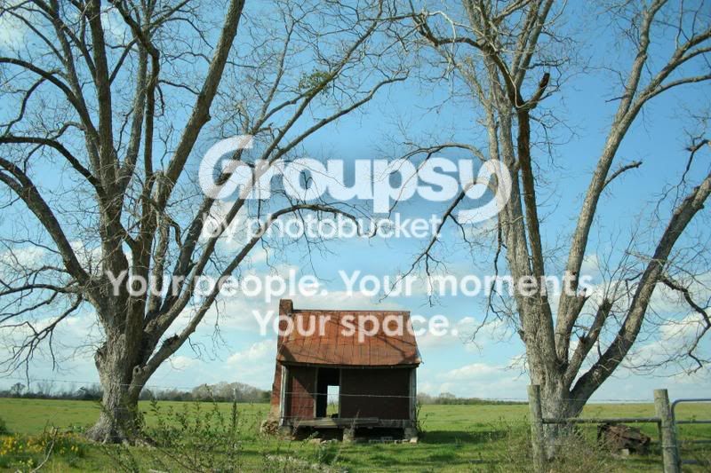 shack.jpg