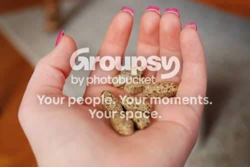 hand2.jpg