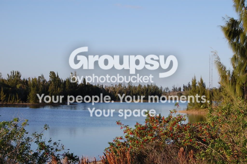 marcumpark.jpg
