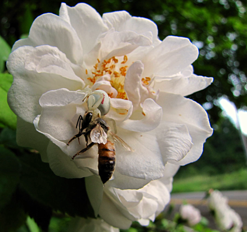 img_1612.png
