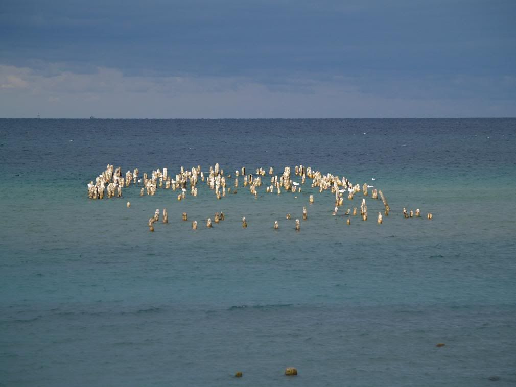 PB030424.jpg