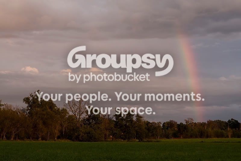 Rainbow_2_800.jpg